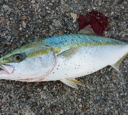 今年初で即延長戦