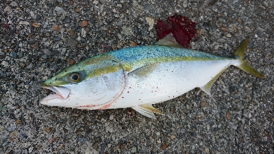 今年初で即延長戦