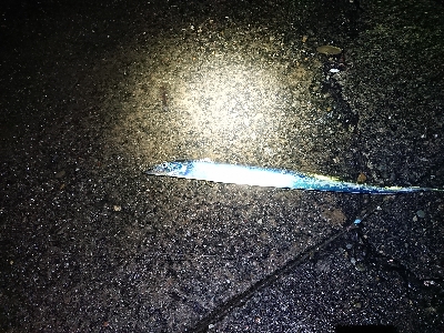 ツ抜けするまでにかえれま10