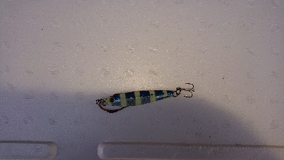 おはようお魚ちゃん