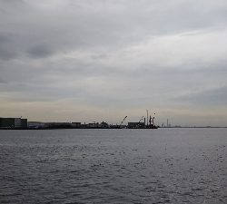 マズメは、安定！