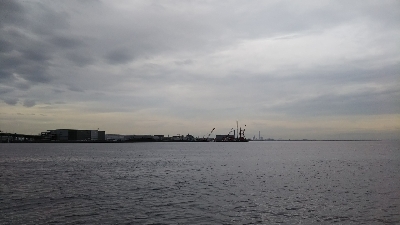 マズメは、安定！