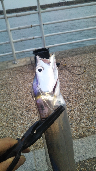 少しずつサイズアップ！