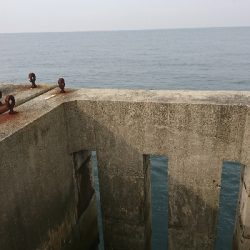 ノマセが強いのか！？