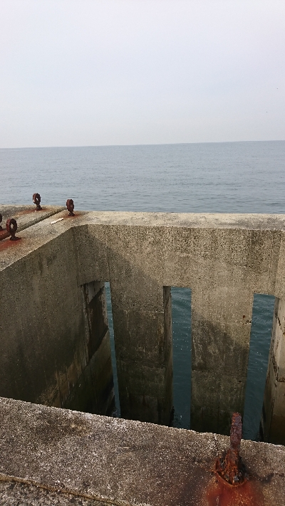 ノマセが強いのか！？