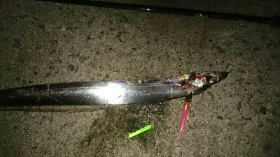 烏賊 厳しく❗浮気'…