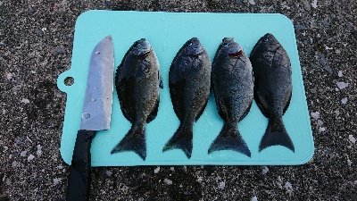 加領郷漁港にて