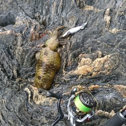 ごみは持ち帰りましょう。