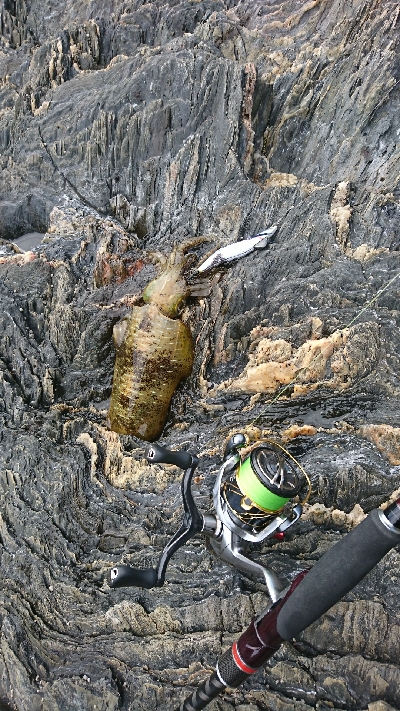 ごみは持ち帰りましょう。