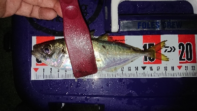 マメージングからの解放