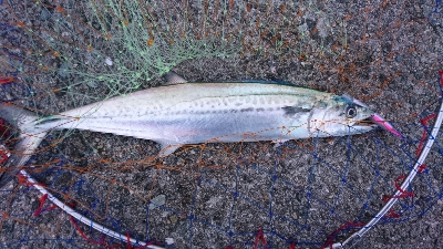 ローライトの下で