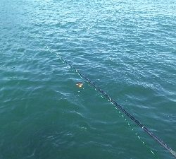 自己記録更新！