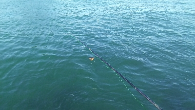 自己記録更新！