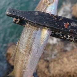 デイアジは何処へ…