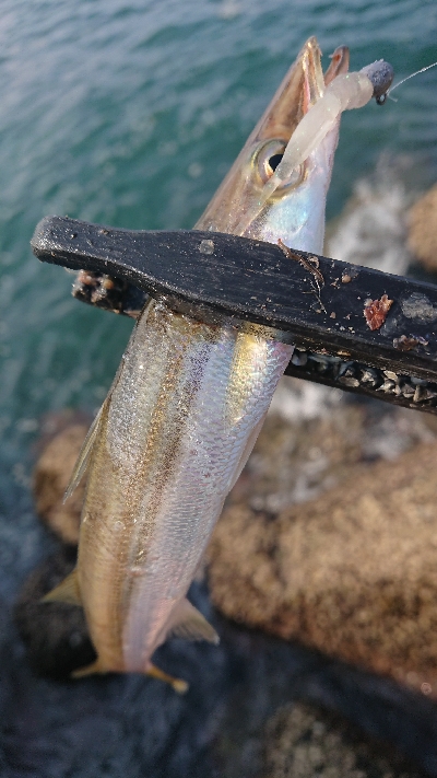 デイアジは何処へ…