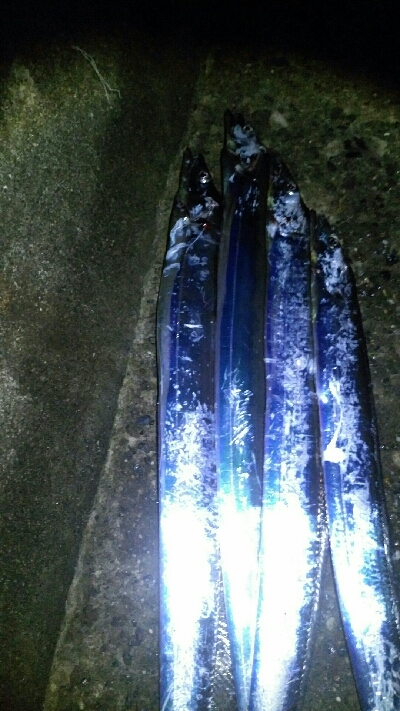 台風前に、、、