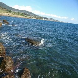 期待を膨らませ