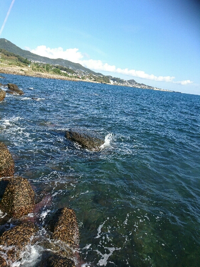 期待を膨らませ