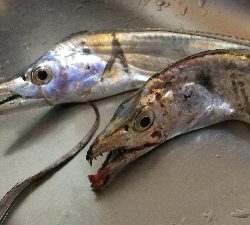 南芦屋浜西側石畳