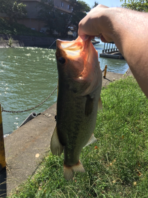 まさかの一発！