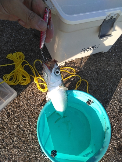 台風24後の須磨