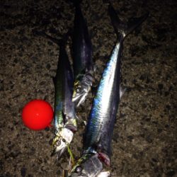 夕方5時半から6時半の1時間