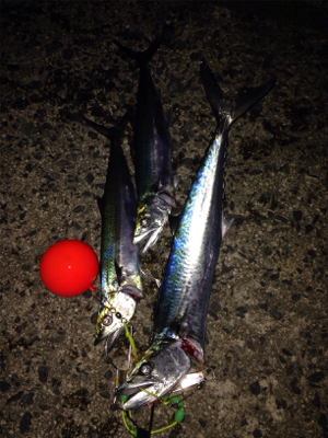 夕方5時半から6時半の1時間