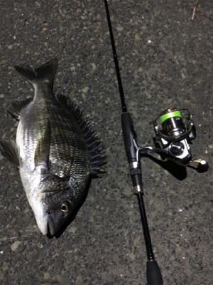 アジングのつもりだが