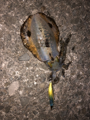 今日は、絶好調^_^