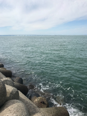 人工島でサビキ