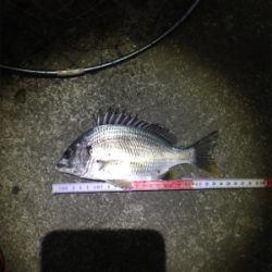 今日も仕事帰りに