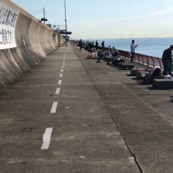 平磯が復活したので行ってきました。