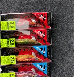 モニターエギング夜