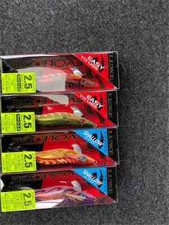 モニターエギング夜