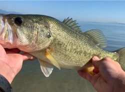 南湖西岸東岸ラン&ガン