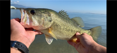 南湖西岸東岸ラン&ガン