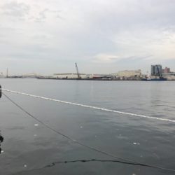 久しぶりの砂揚げ場