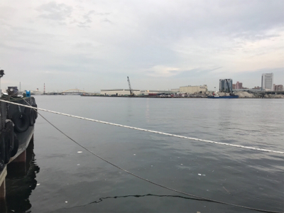 久しぶりの砂揚げ場