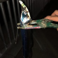 ビギナーズラック