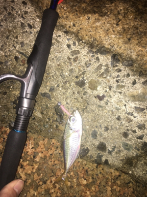 ナイトアジング/高砂エリア