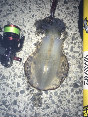 結構な濁りでした