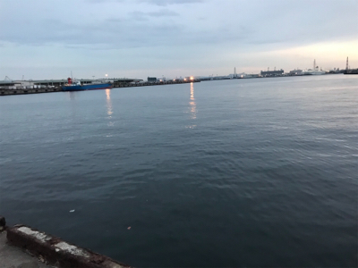 昨日に引き続き