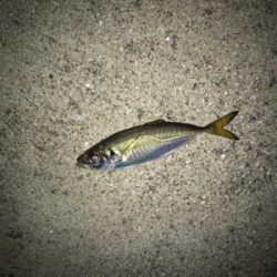 釣友会メンバーと