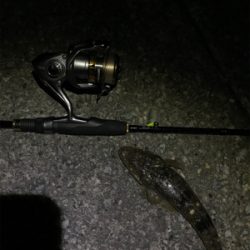 ギリギリの坊主逃れ釣行