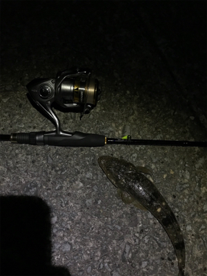 ギリギリの坊主逃れ釣行