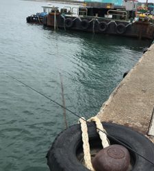 サビキで大漁でした