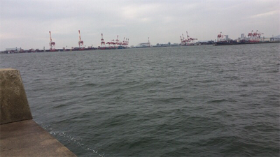 ルアーでは鯖のみ