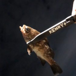 何が釣りたい訳でもなく、釣りがしたいだけ。