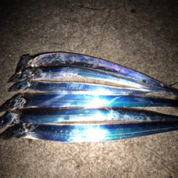 いつもの場所にタッチー