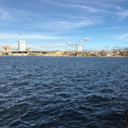 今日も砂揚げ場